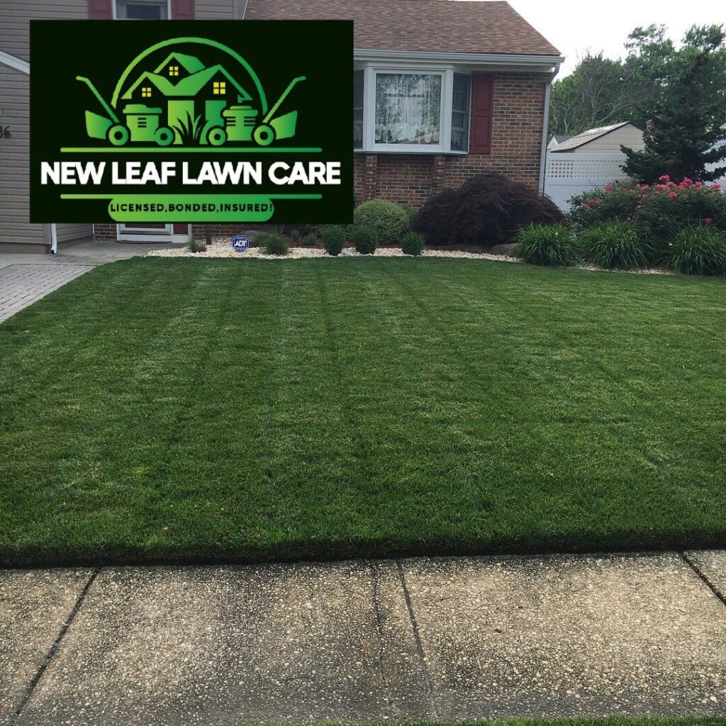 553166930 122122651028964501 186369766730024014 n