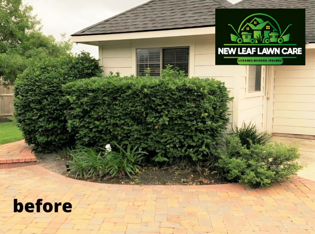 Landscaping untitled 1